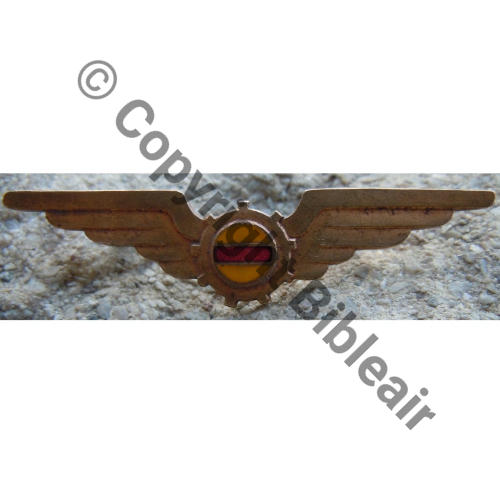 NH  FRANCE CIE AIR 2e du 7eREGIMENT GENIE  SM Eping bascule Dos lisse irreg Src.lapetitebrocdechacha 880EurInv 